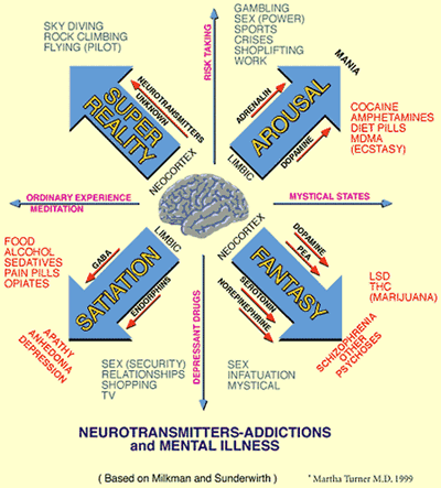 Neurotransmitters-Addictions and Mental Illness
