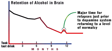Alcohol Tolerance Level Chart