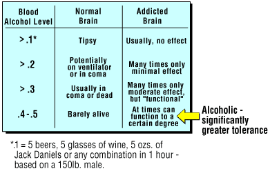 Alcohol Tolerance Level Chart