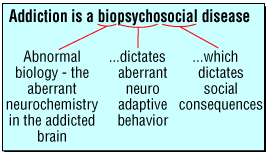 Addiction is a biopsychological disease