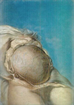 Anatomical Drawing #2