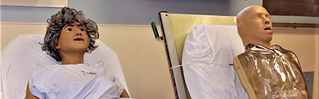 Simulation Staff
